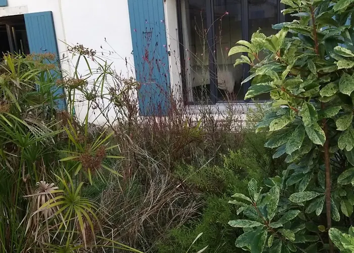 Guest house Sucre Sale Le Port-des-Barques